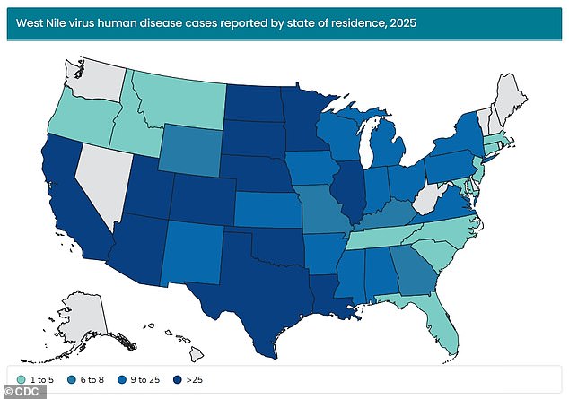 The above map shows cases of West Nile Virus detected in the US by state