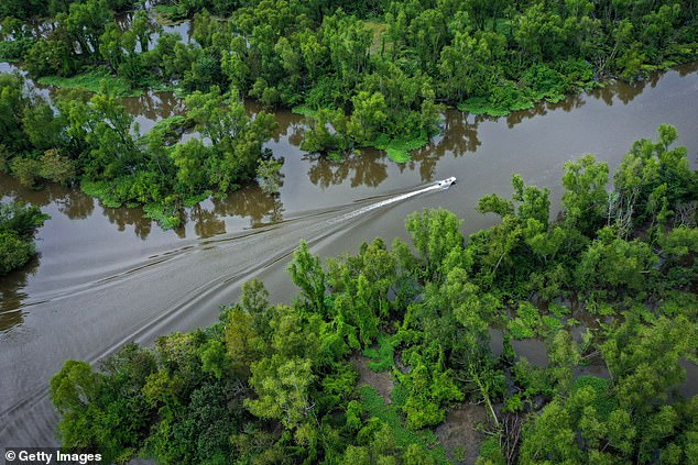 The state health department confirmed that two of this year's deaths were linked to raw oysters, while 85 percent of those infected reported exposure through wounds and seawater. Pictured: Louisiana wetlands