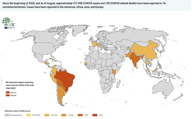 The above map shows the 12-month chikungunya virus case notification rate per 100,000 people from September 2024 to August 2025 (source: European Centre for Disease Prevention and Control)