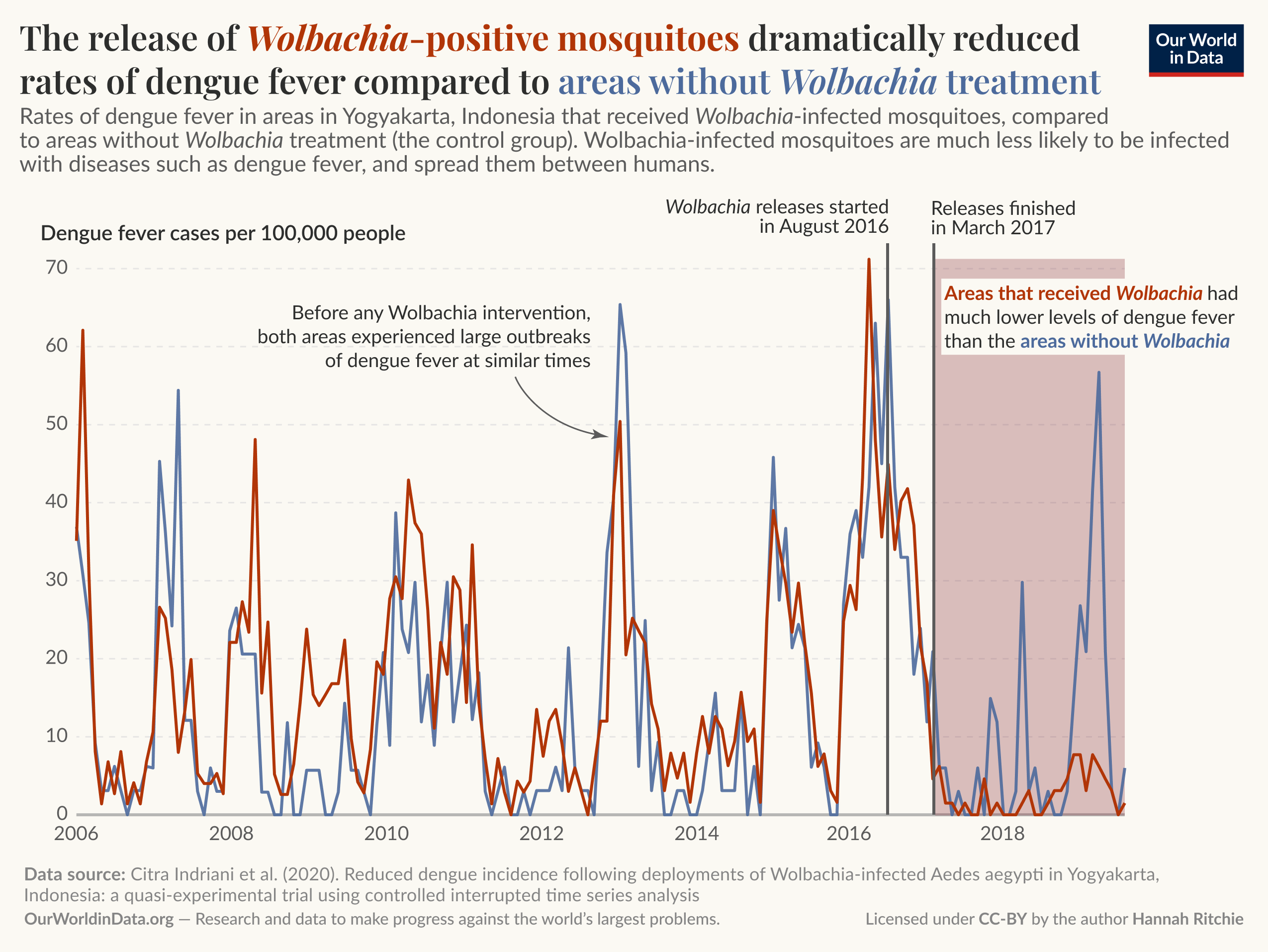 This image presents a graph comparing the rates of dengue fever in Yogyakarta, Indonesia, before and after the introduction of Wolbachia-positive mosquitoes. The horizontal axis shows the years from 2006 to 2018, while the vertical axis indicates the number of dengue fever cases per 100,000 people, ranging from 0 to 70. 

Two lines represent the data: a solid orange line shows the dengue fever cases in areas that received Wolbachia treatment, while a dashed blue line indicates the cases in control areas that did not have the treatment. Before the introduction of the Wolbachia mosquitoes in August 2016, both areas experienced high levels of dengue fever outbreaks. However, starting from the intervention, the solid line displays a significant decline in cases, particularly after the treatments were completed in March 2017. 

Annotations on the graph highlight that areas with Wolbachia had much lower levels of dengue fever compared to those without it. The bottom of the image includes a data source citation, mentioning research by Citra Indriani and colleagues, describing it as a quasi-experimental trial.