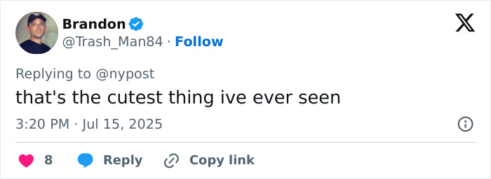 Tweet from user Brandon expressing that the giant baby birth image is the cutest thing seen, related to doctors' alarm on rise.