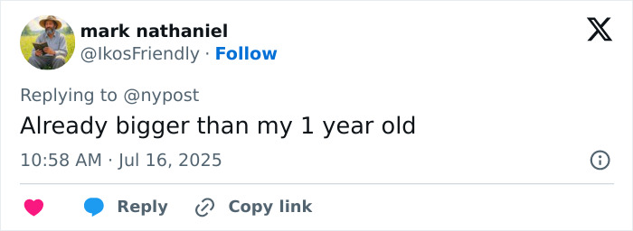 Social media user commenting on the concerning rise in giant baby births, highlighting public reaction to doctors' alarm.