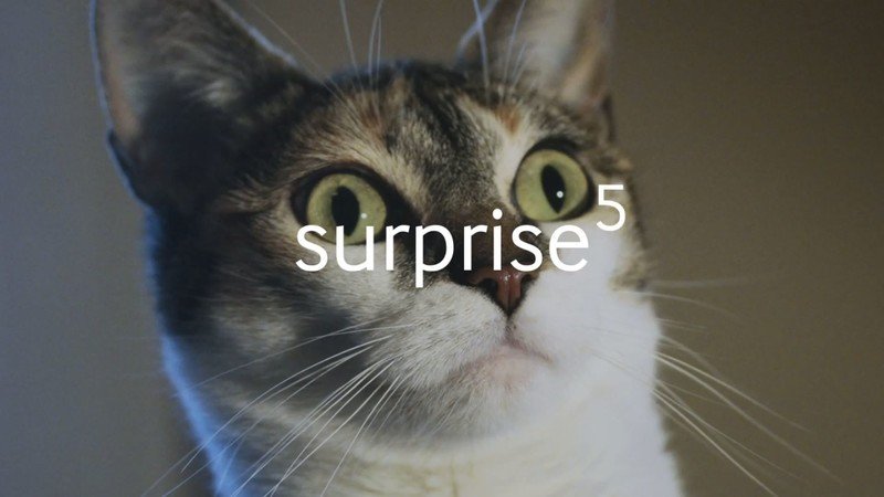 Surprise