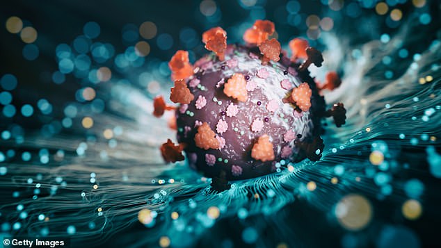 In the therapy, a healthy copy of the faulty gene is delivered to brain cells by an adenovirus, or cold virus. It was successful at improving symptoms in juvenile mice