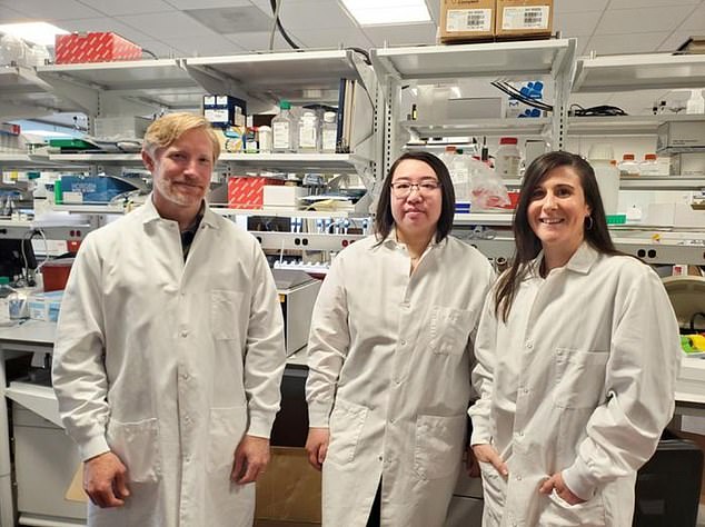Shown above is Dr Boaz Levy, left, who led the research, and associate investigator Dr Rong Guo and scientist Dr Meagan Quinlan